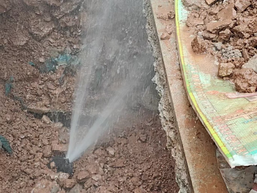 消防水管漏水检测定点开挖（抚顺）